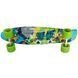 Пенні борд Fishskateboards різнокольоровий | Зелені колеса фото 2